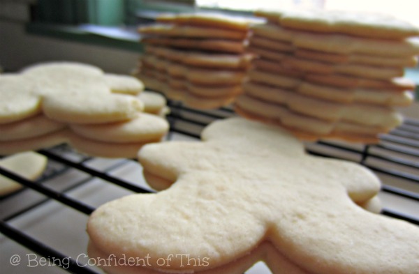 the fifth cookie lessons in boundaries, God's-boundaries-for-our-good, why-God's-boundaries-are-for-our-benefit, over-weight, healthy-living, healthy choices, obedience